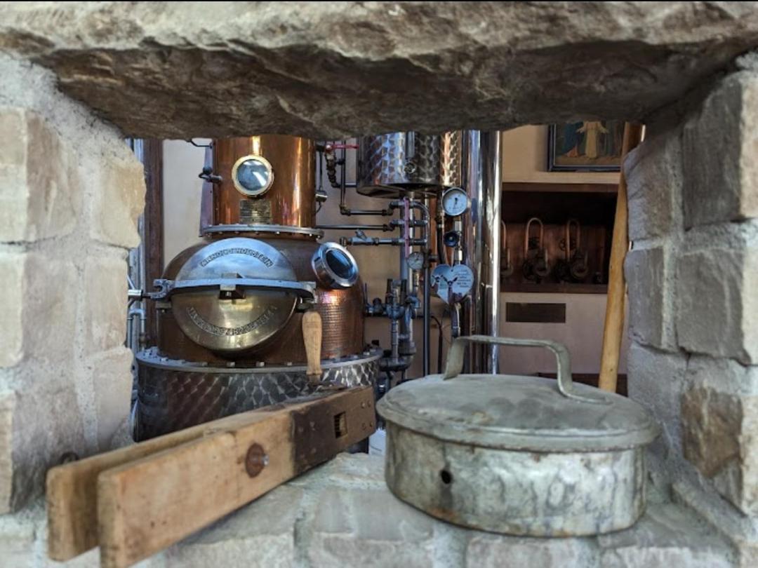 Brauereigasthof Dachsenfranz Zuzenhausen Dış mekan fotoğraf